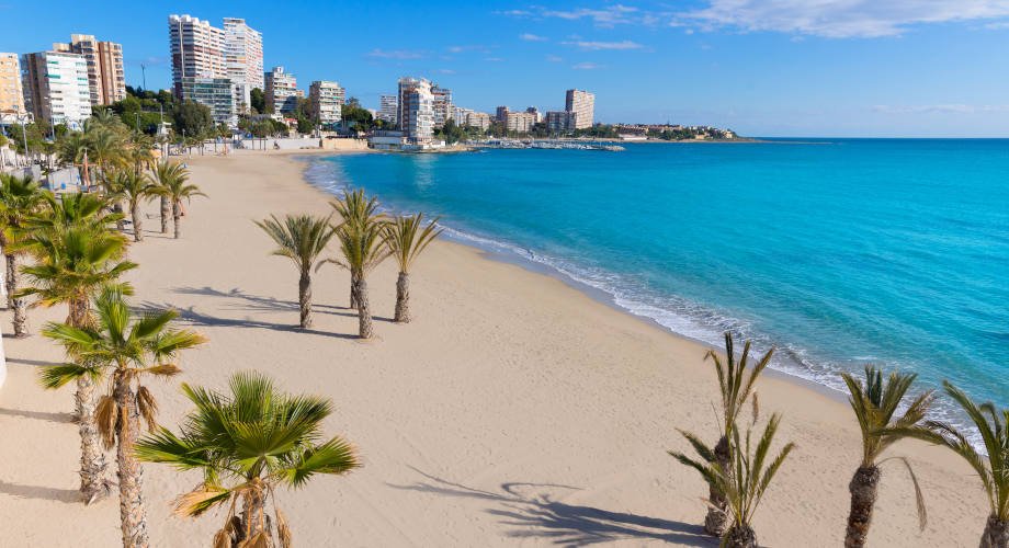 "Panoramic view of Alicante, featuring the iconic Santa Bárbara Castle, turquoise Mediterranean waters, and bustling marina."

"Alicante cityscape with sunlit beaches, historic architecture, and a lively promenade against a clear blue sky."

Charming Alicante beach with crystal-clear waters, nearby cafes, and Santa Bárbara Castle towering above the city.