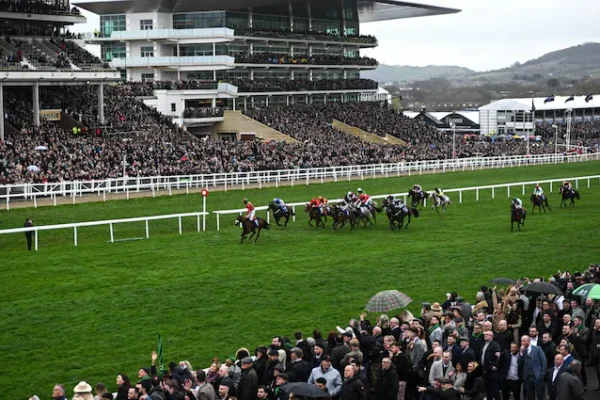 Exciting moment of a horse racing event at Cheltenham Races, showcasing the energy of the race and the vibrant crowd in the background.