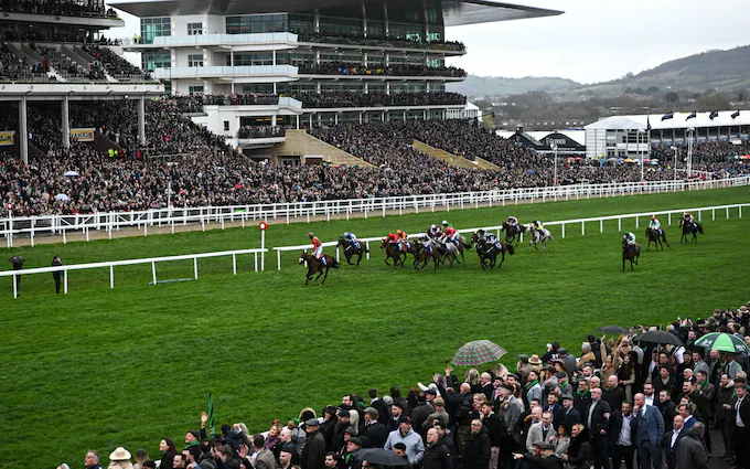 Exciting moment of a horse racing event at Cheltenham Races, showcasing the energy of the race and the vibrant crowd in the background.