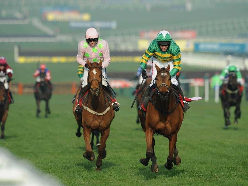 Intense rivalry between top horses during the Cheltenham Races.