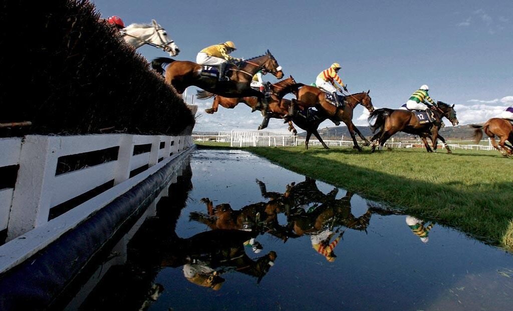 Thrilling horse race at Cheltenham with energetic spectators.