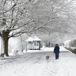 Dorset covered in snow, showcasing winter landscapes and frosty charm.