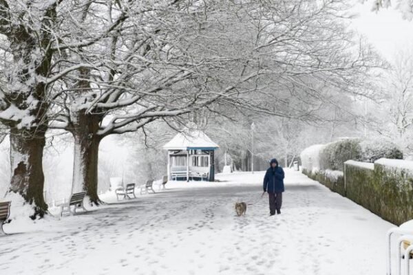 Dorset covered in snow, showcasing winter landscapes and frosty charm.